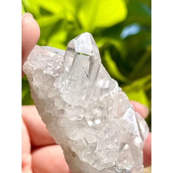 High Grade Brazilian Clear Quartz Cluster - Picture 1 of 11